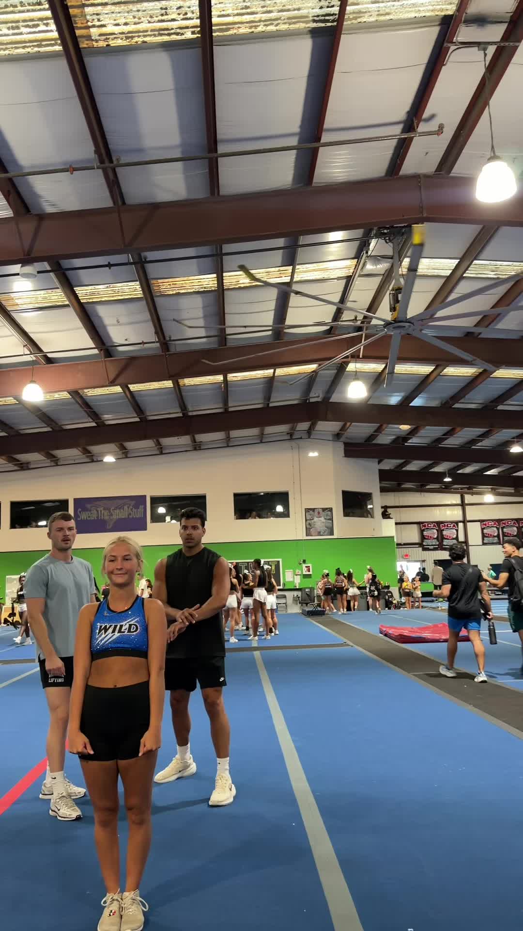 @halliegreen_
