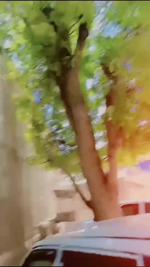 @꧁☆☬ASHOK THAKOR☬☆꧂