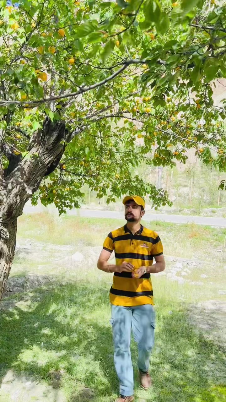 @♥️Zawar Azhar jeelani♥️