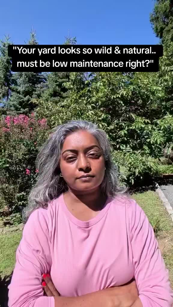 @Rekha