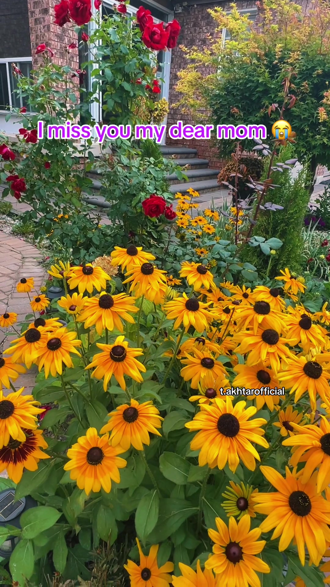 @T.Akhtar Official