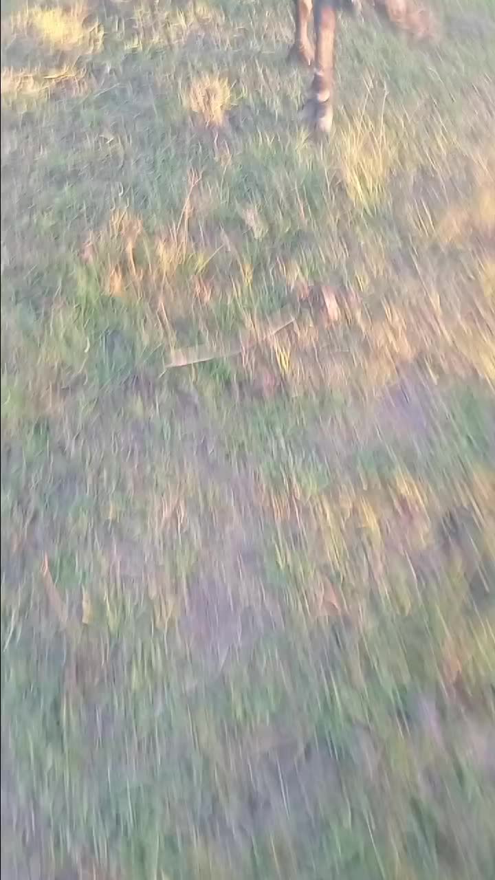 @dddddddddddddddddddx