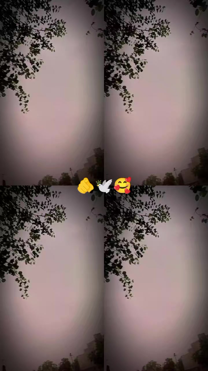 @๐MylLoveZiddi31๐