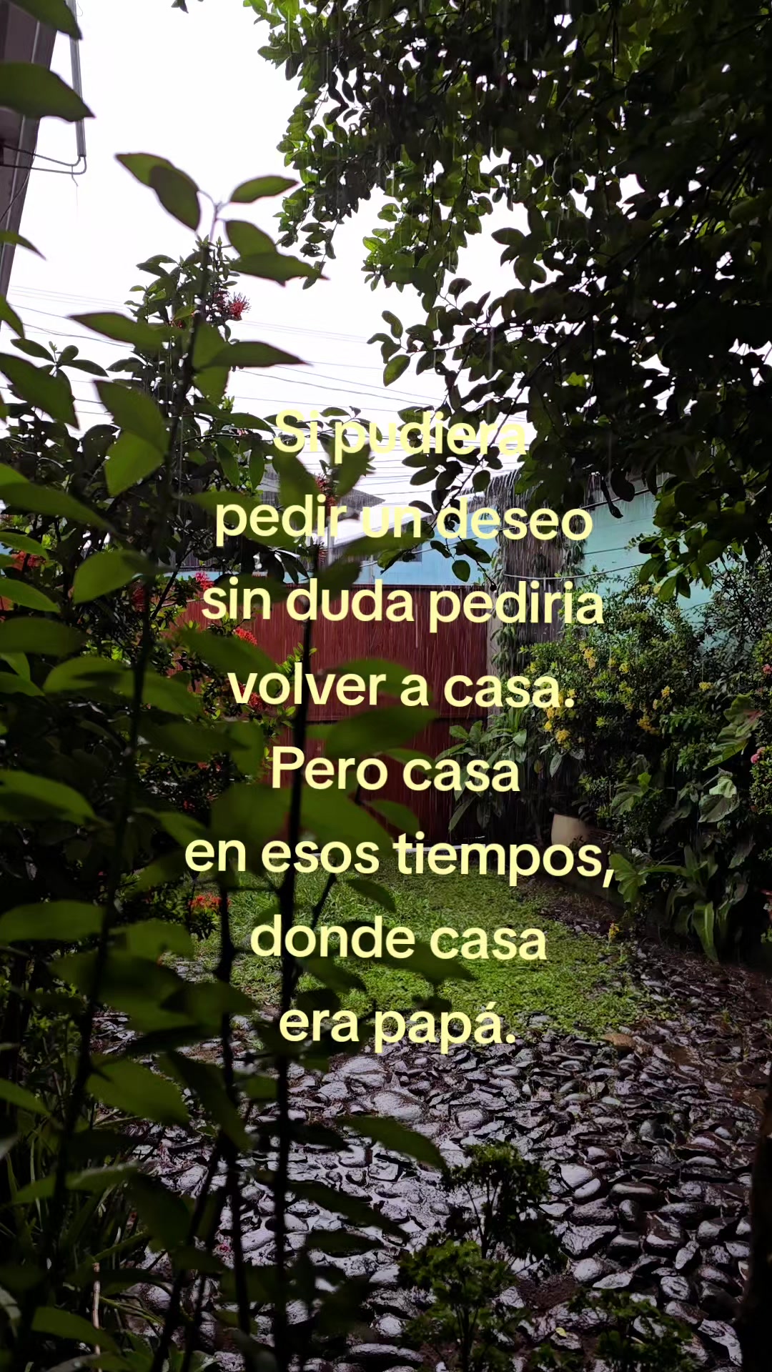 @Pechy