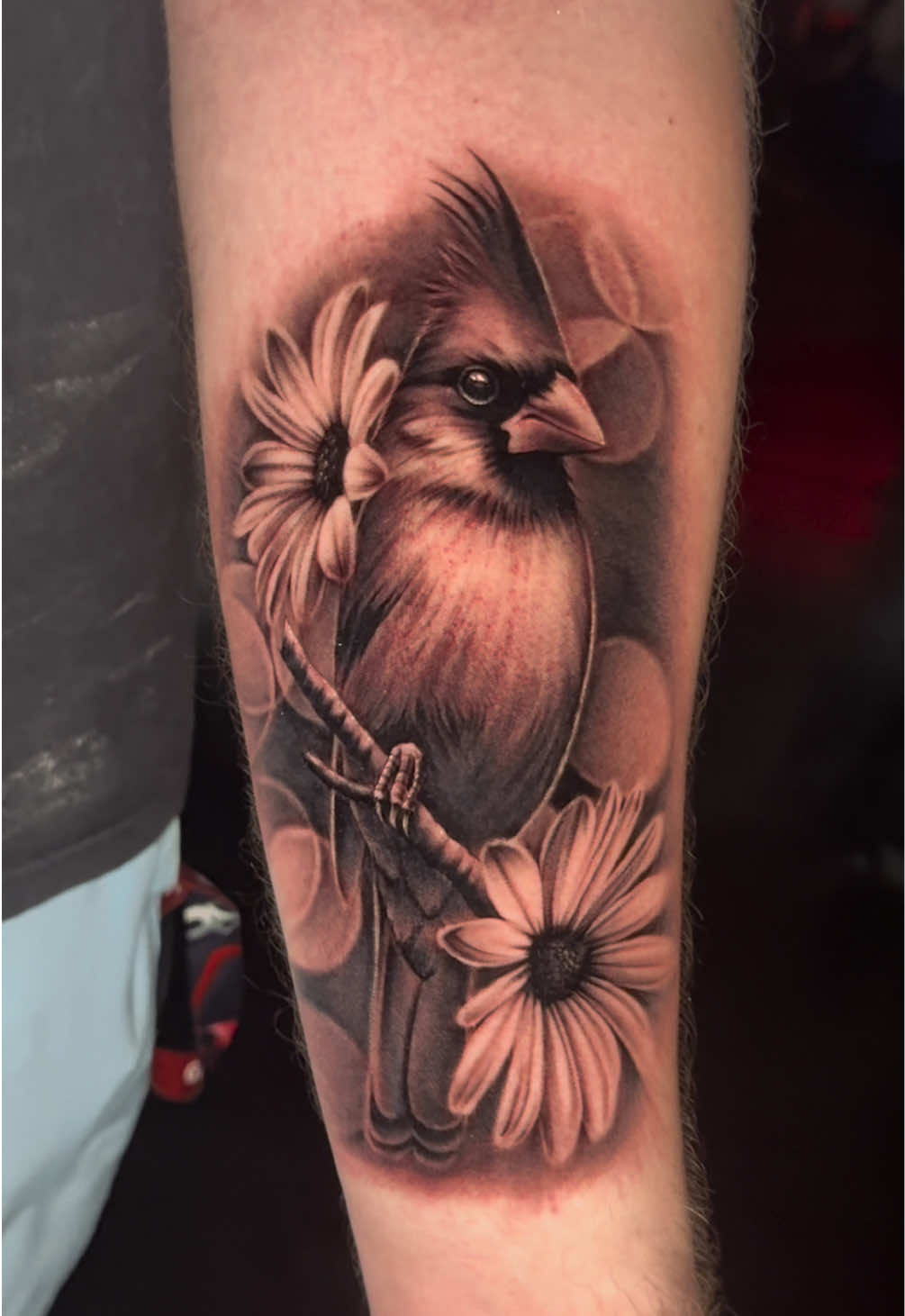 @Thefangandflower