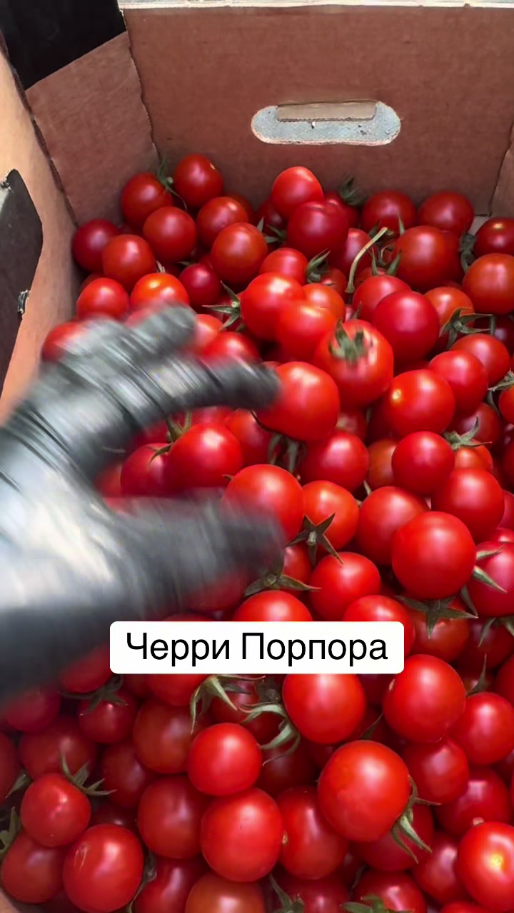 @26 соток