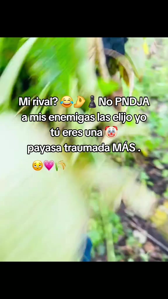 @compartirvideos11