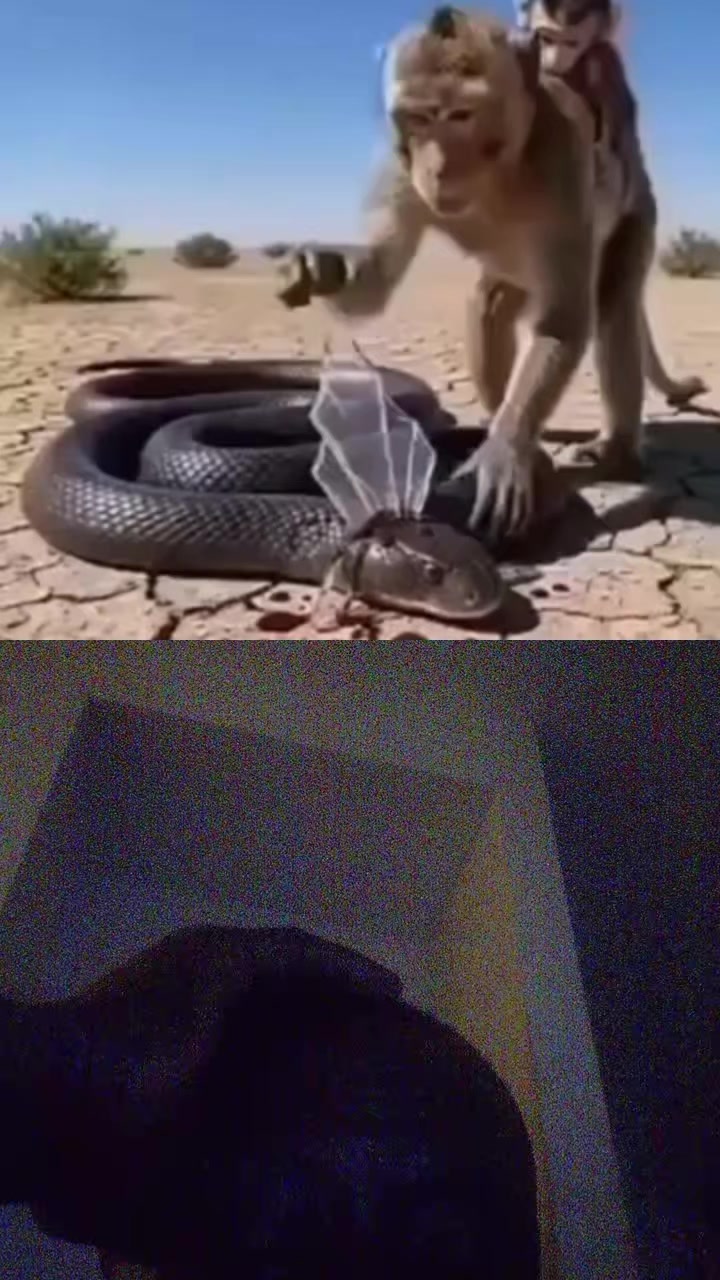 @ben