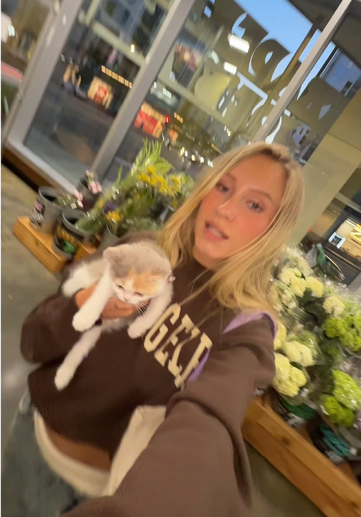 @alison ogden 🎀