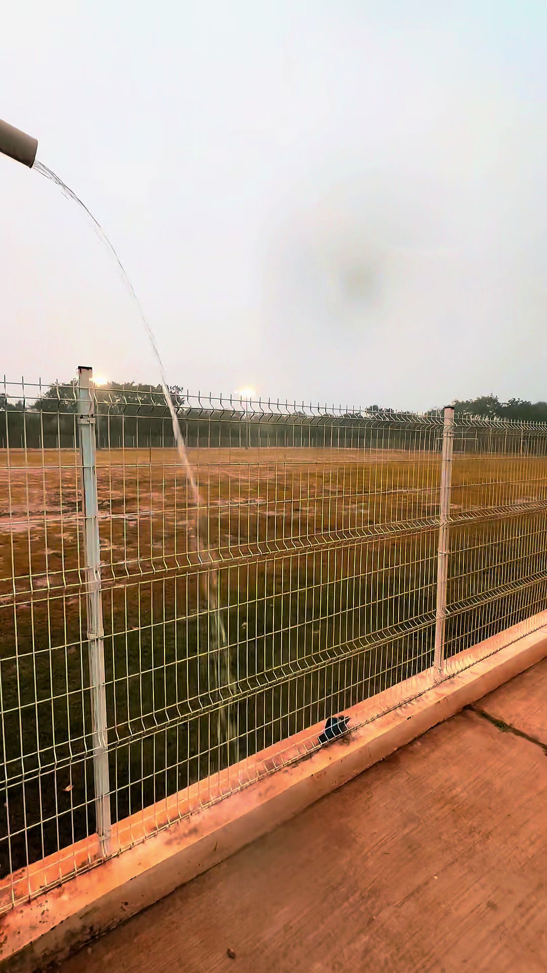 @Rodrigo Ek - Tigre
