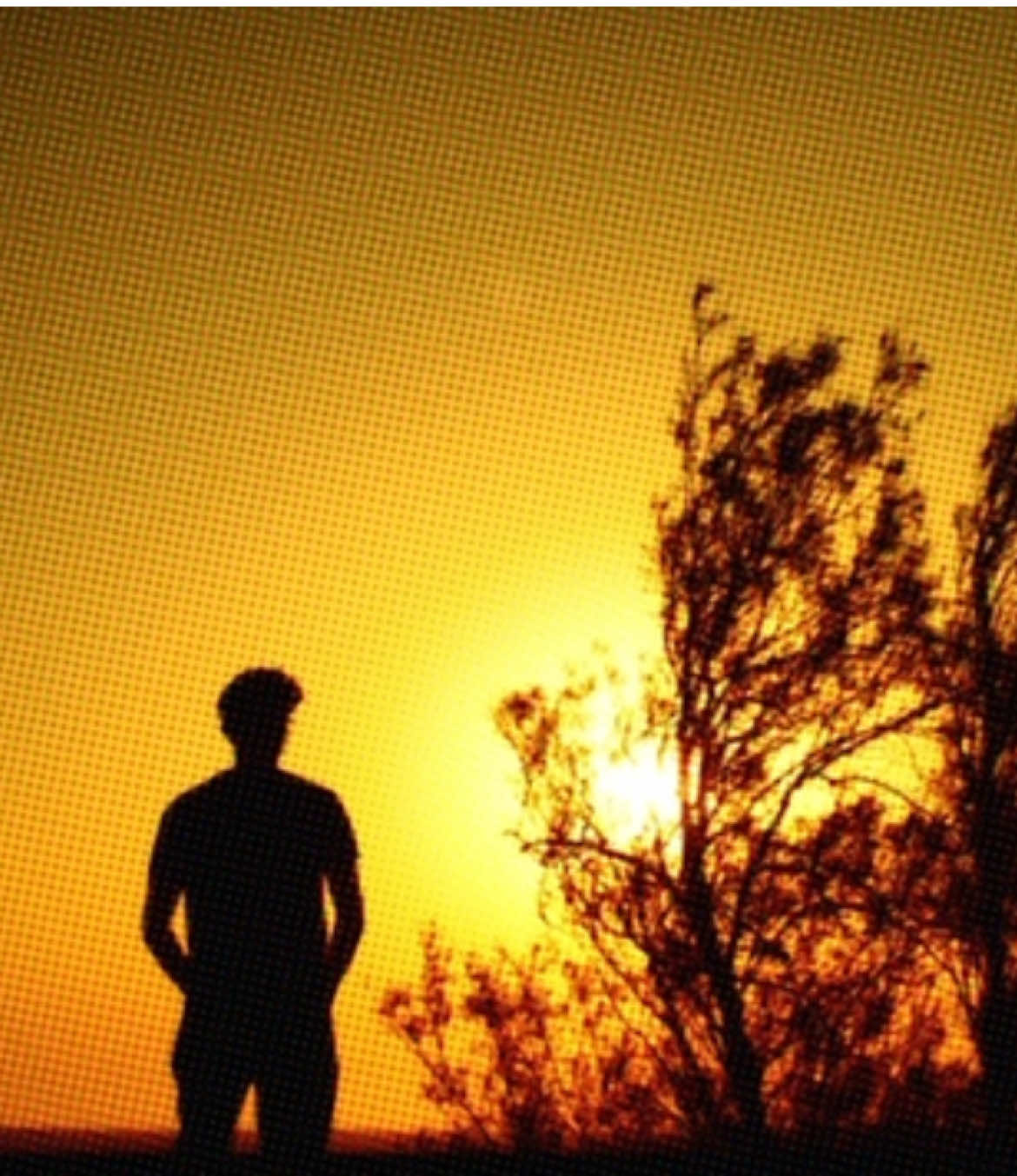 @سيد حُسَيّن