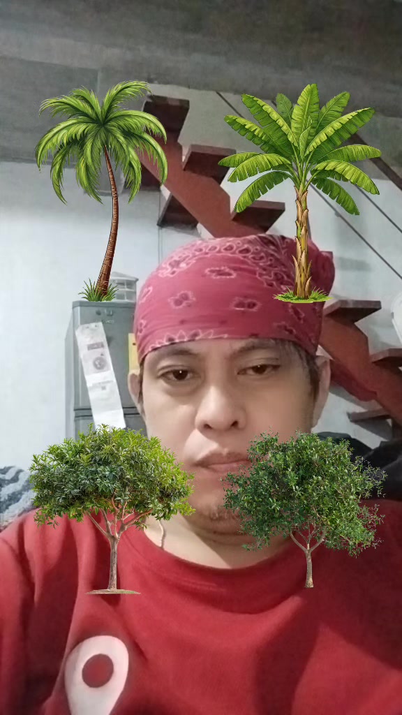 @dindologmao