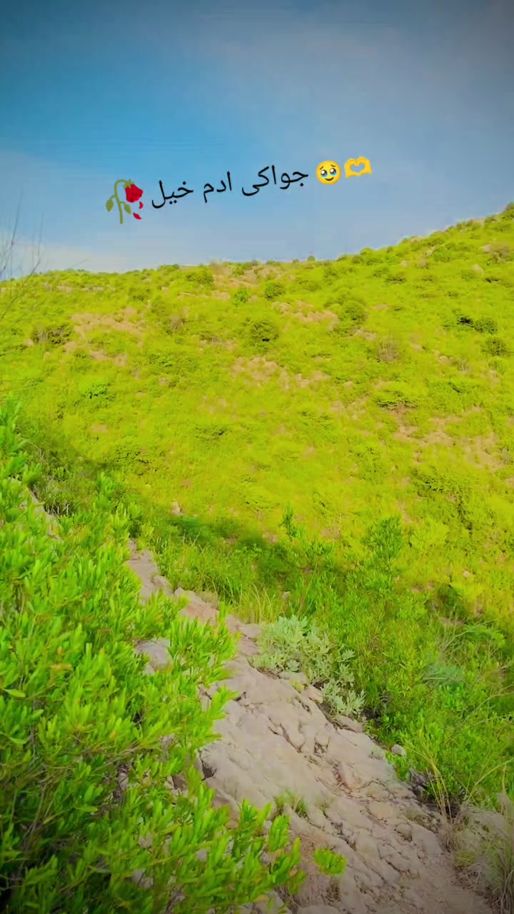 @Faizan _khan 368