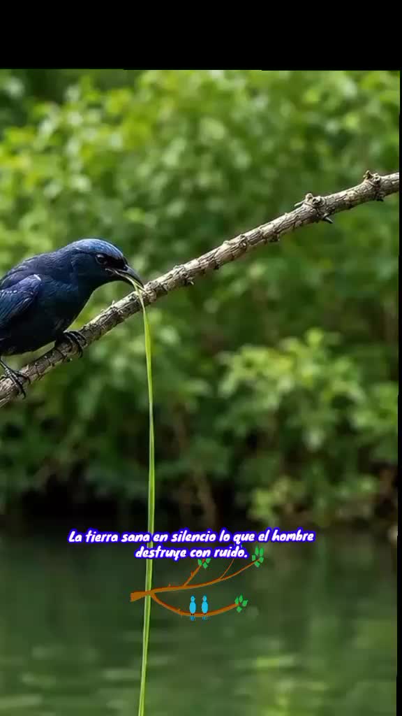 @CARMEN NATURALEZA.