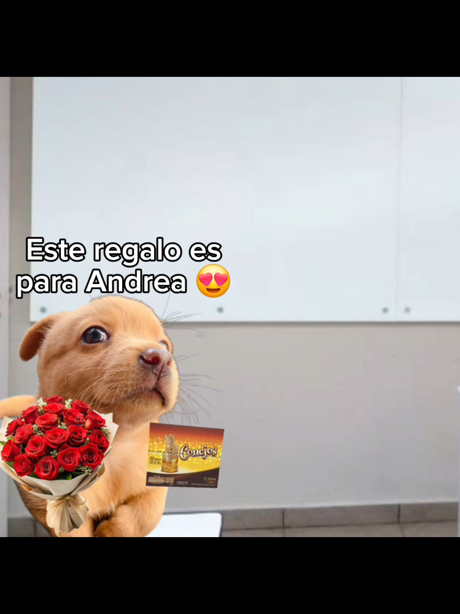 @El Perrix