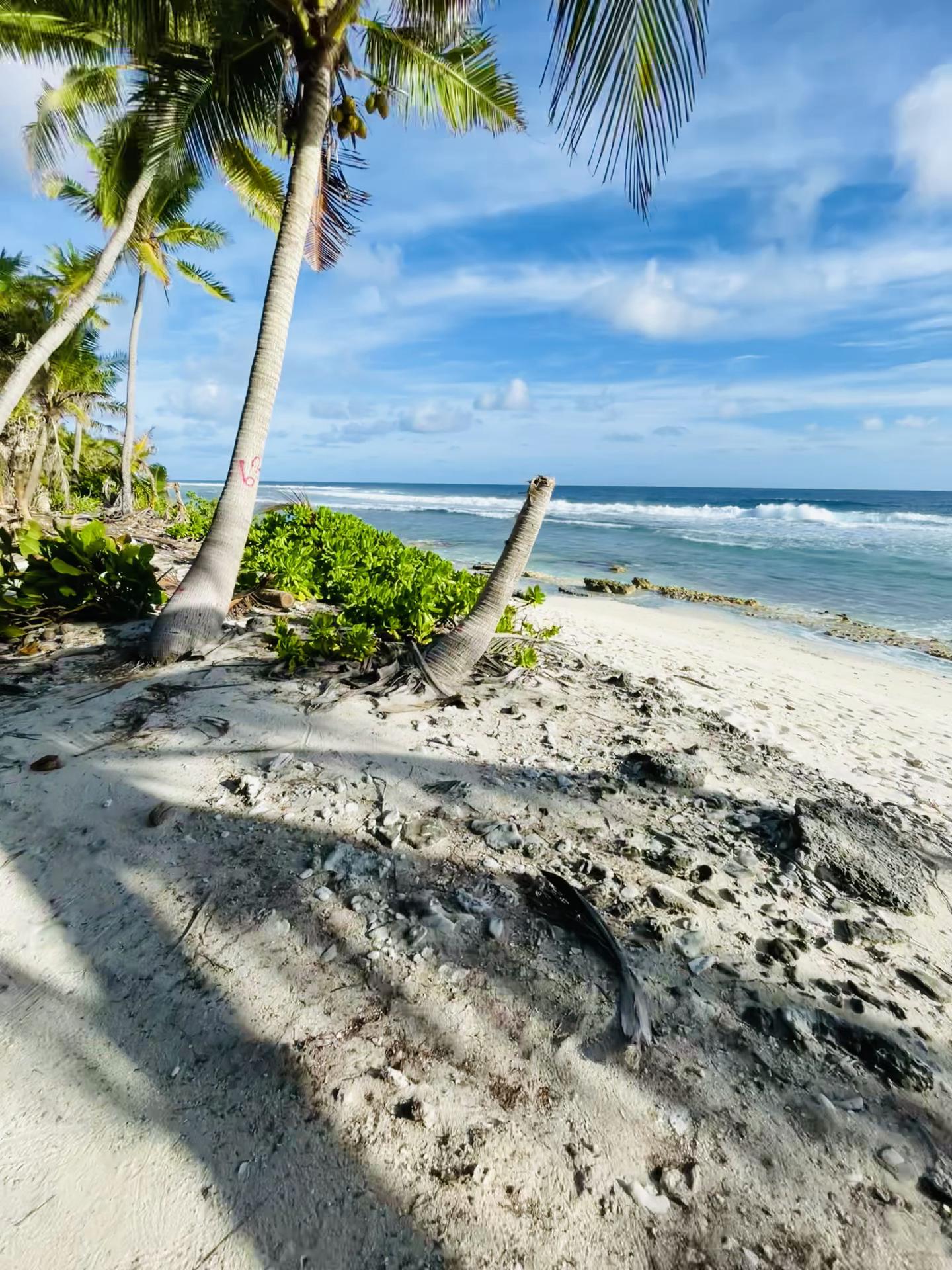 @đŧ...?