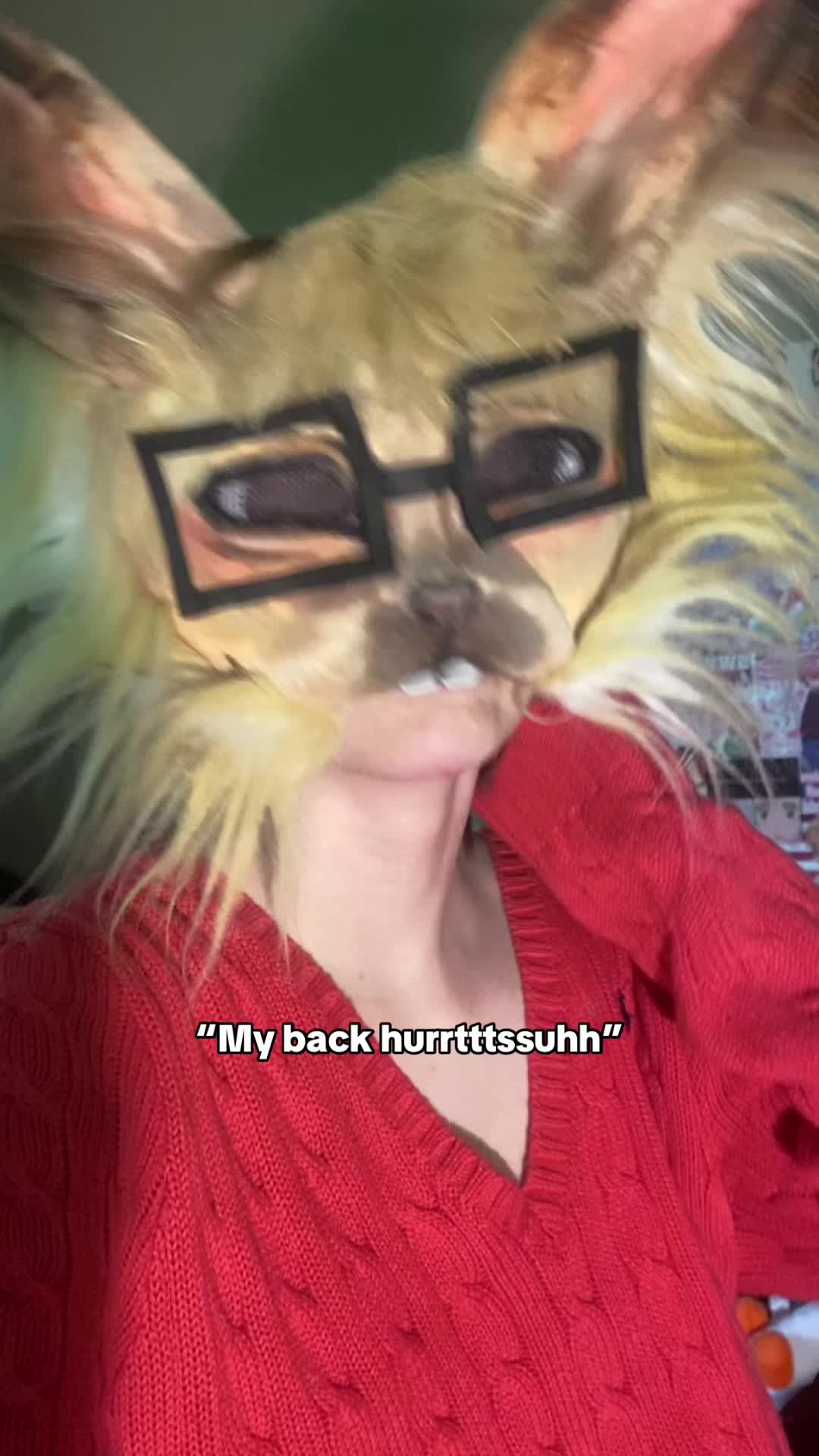 @{ 🧶 ᖇOᑕKY🐇🎪 }