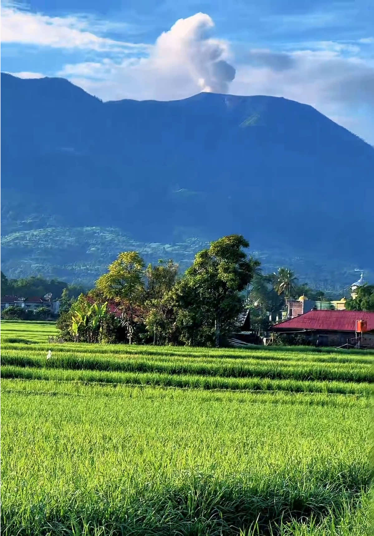 @Raun Sabalik