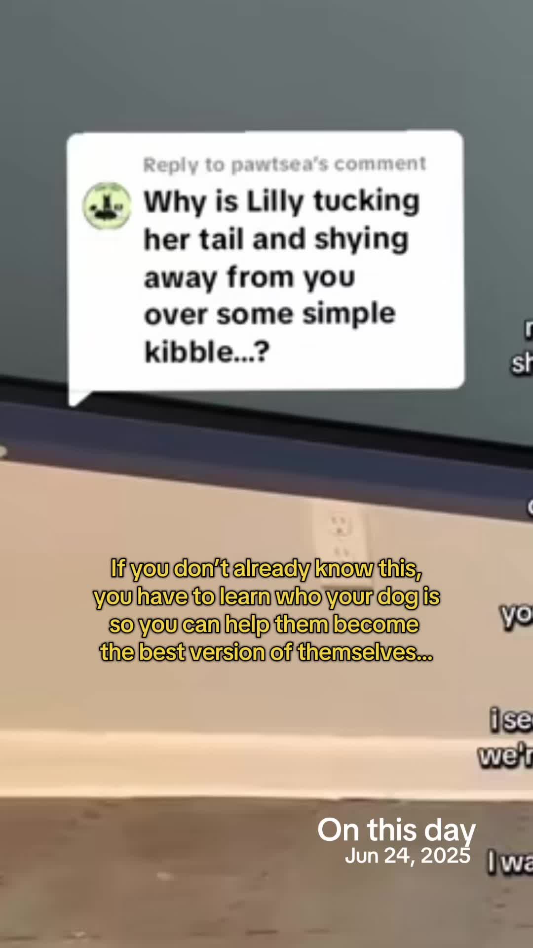 @jaysonthebag