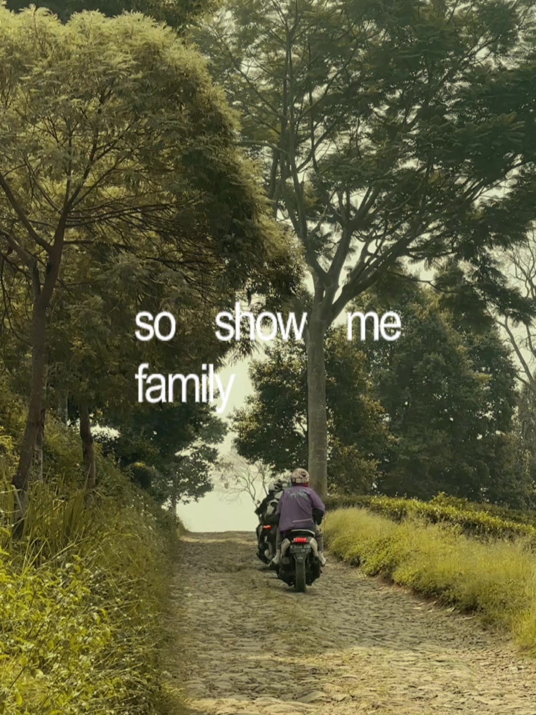 @✨