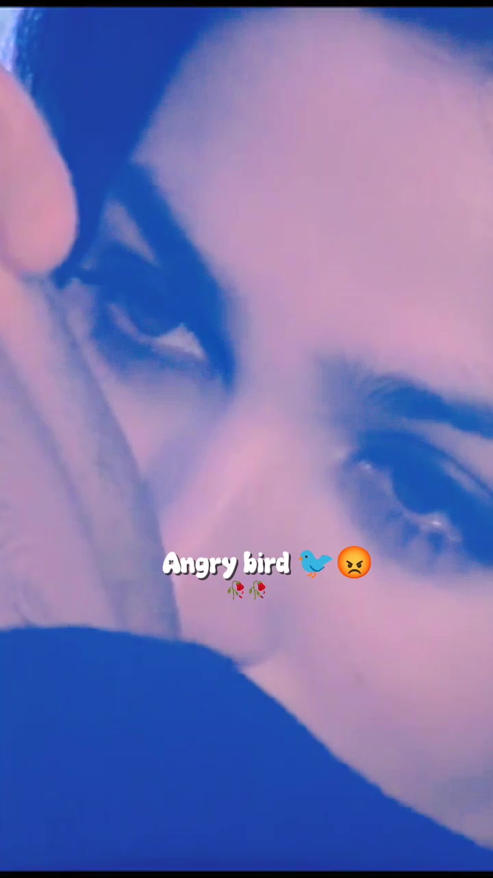 @💫𝖆𝖓𝖌𝖗𝖞 𝖇𝖎𝖗𝖉𝖘💫💥