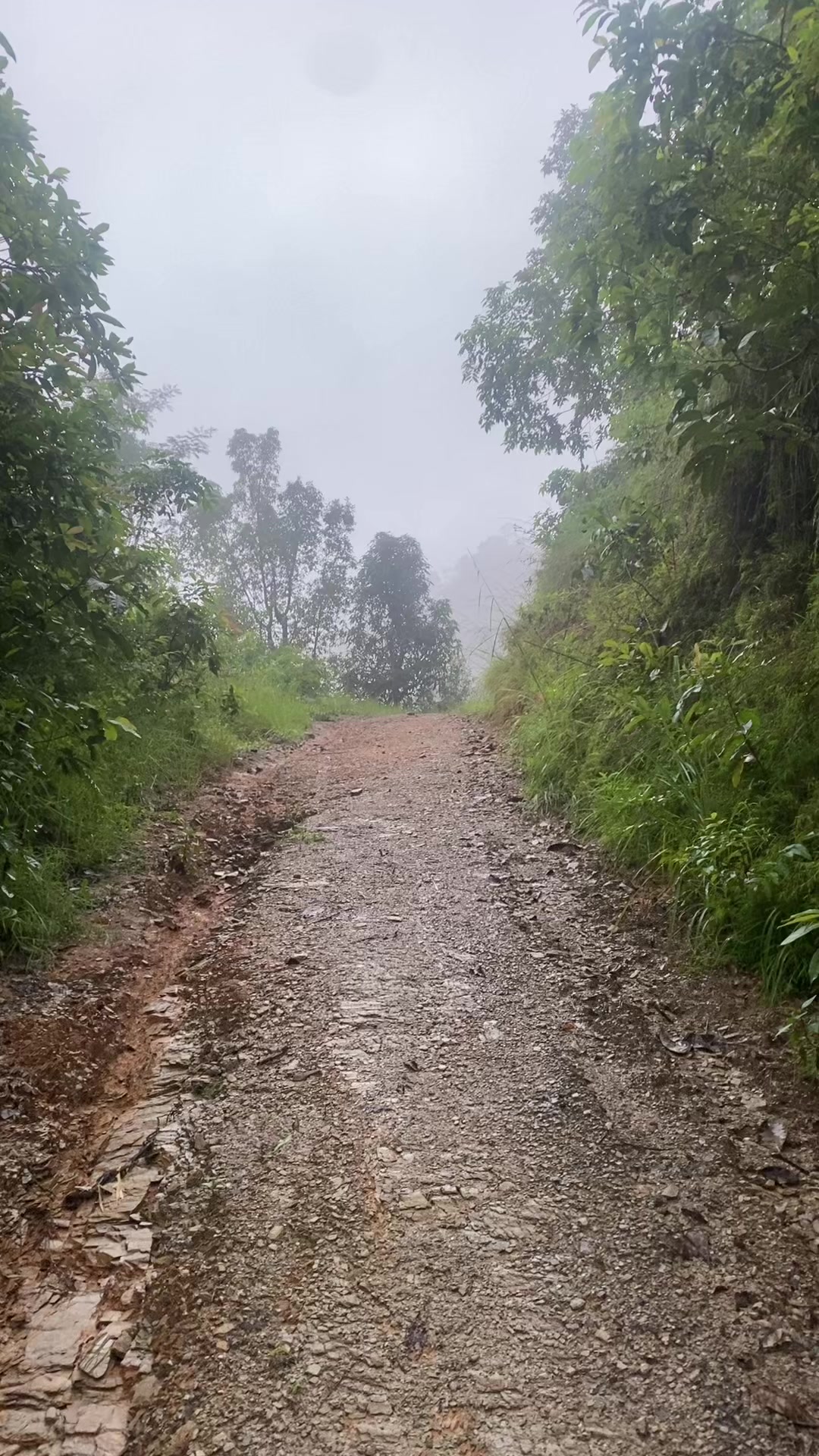 @थानेश्वर ज्ञवाली