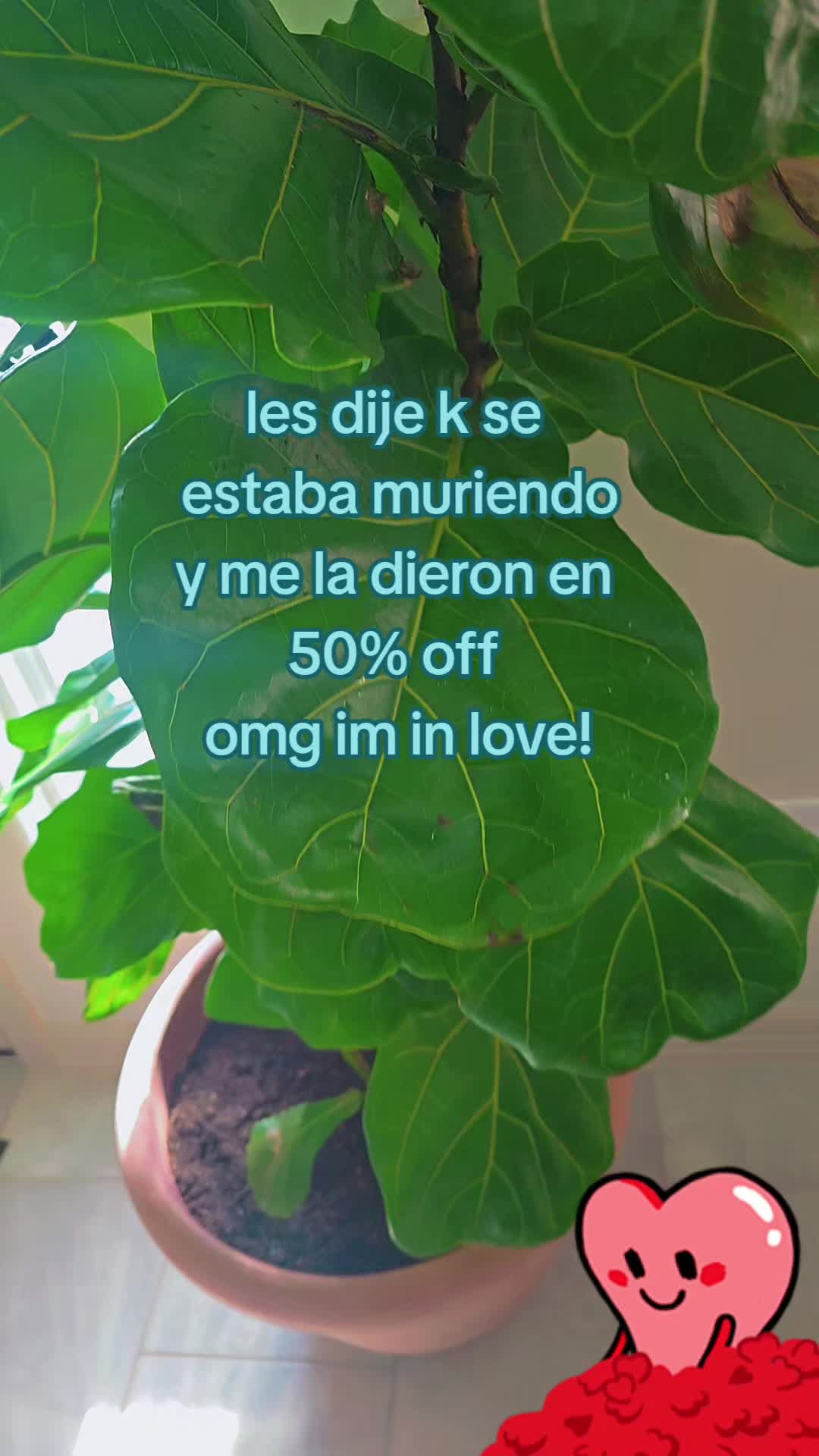 @🦋Juliet🦋🇺🇸