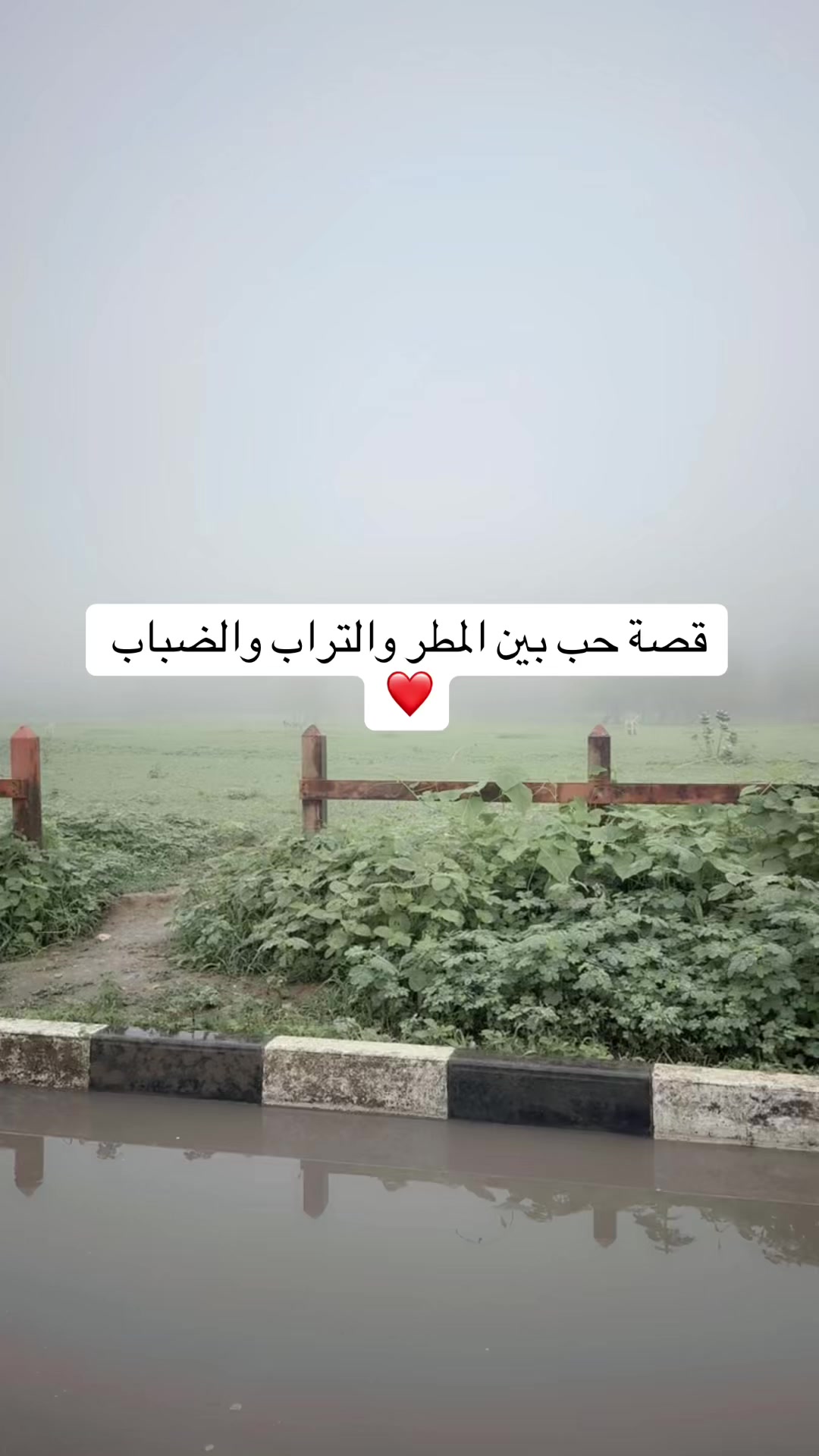 @Noor 🌸