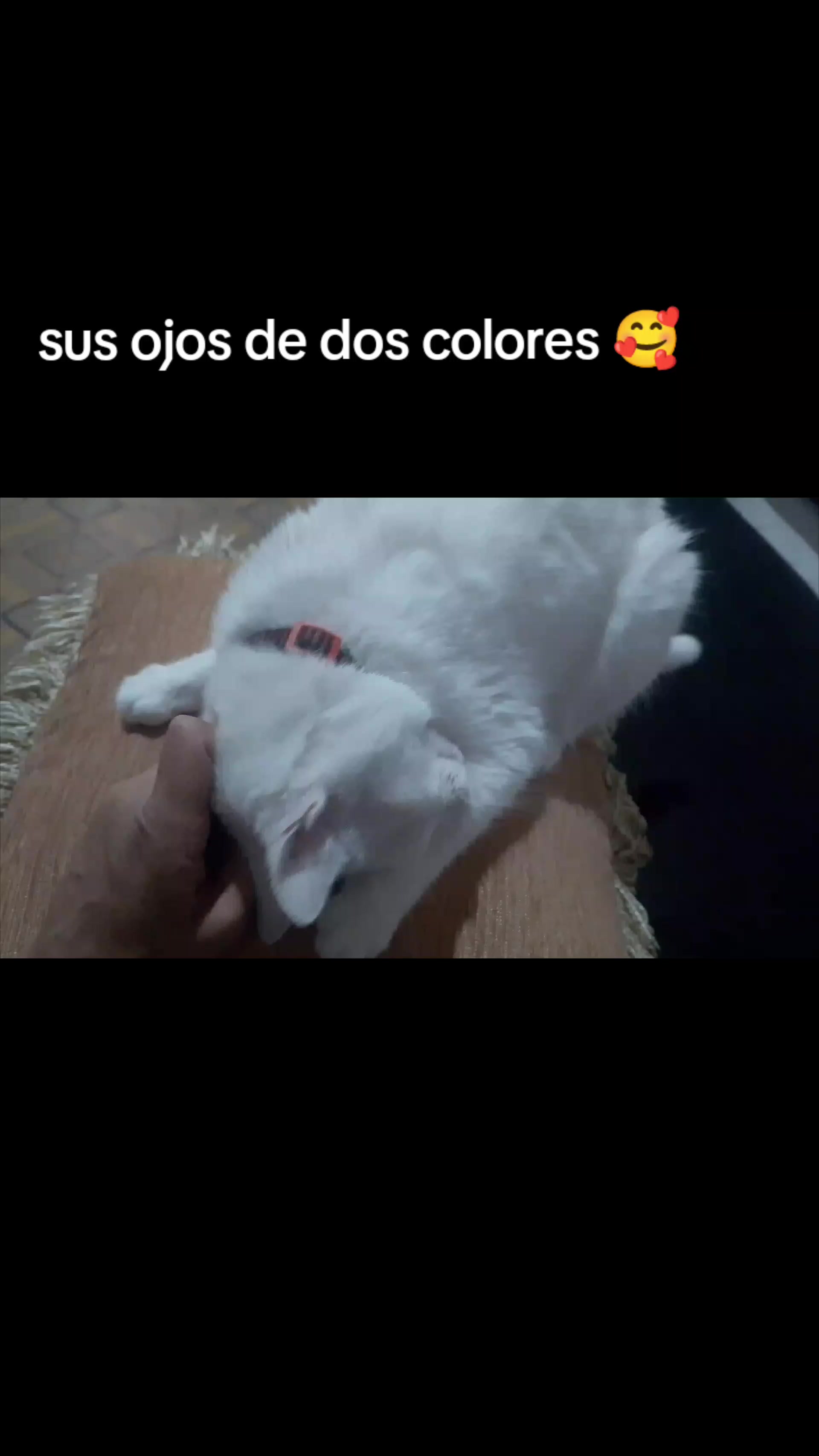 @yarandyn