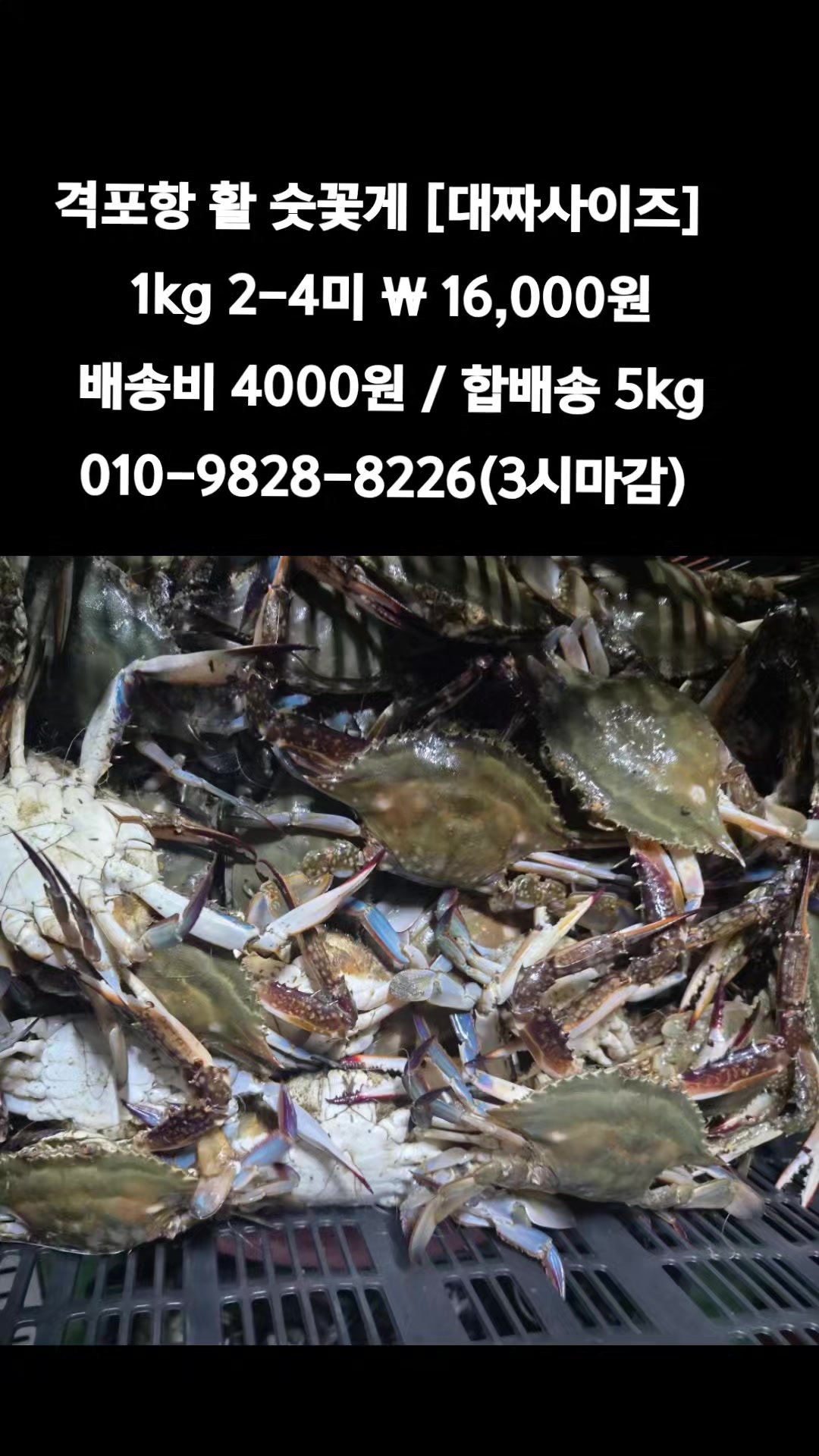 @똑손