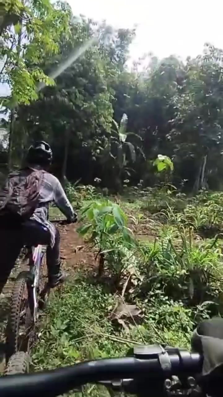@awangawang53