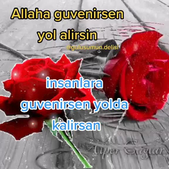 @gulusumun.delisi