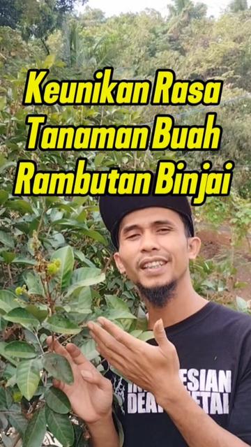 @Bukit Farming