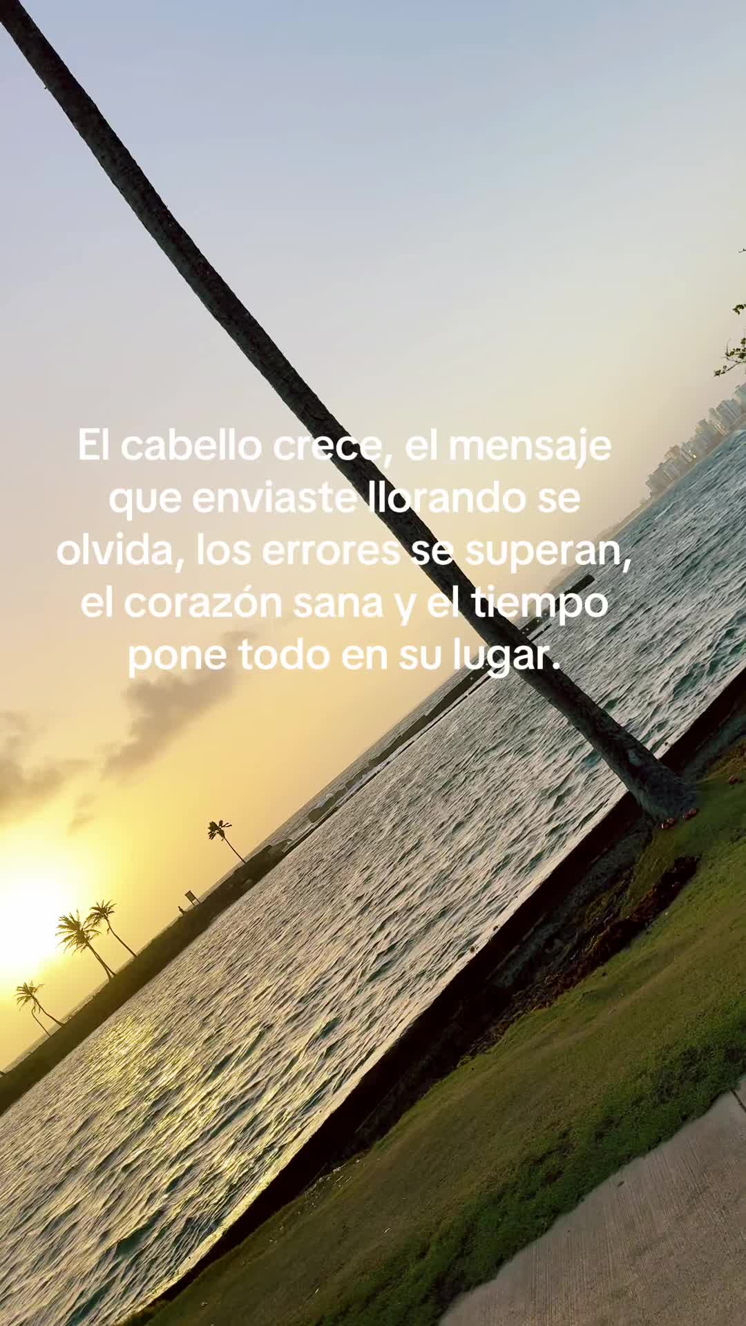 @🫧Brenda Mayta🪴