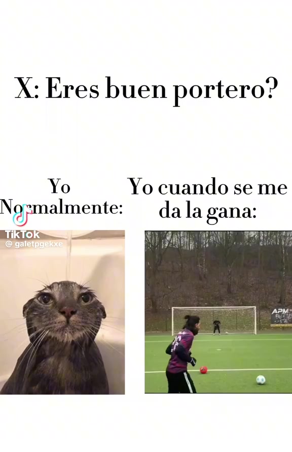@aistronguer🙀