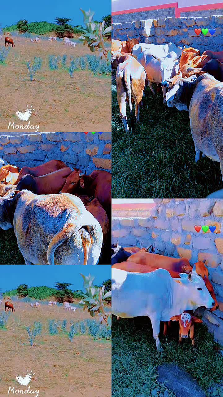 @@🦋🎀 Teyian✨🖤🤍