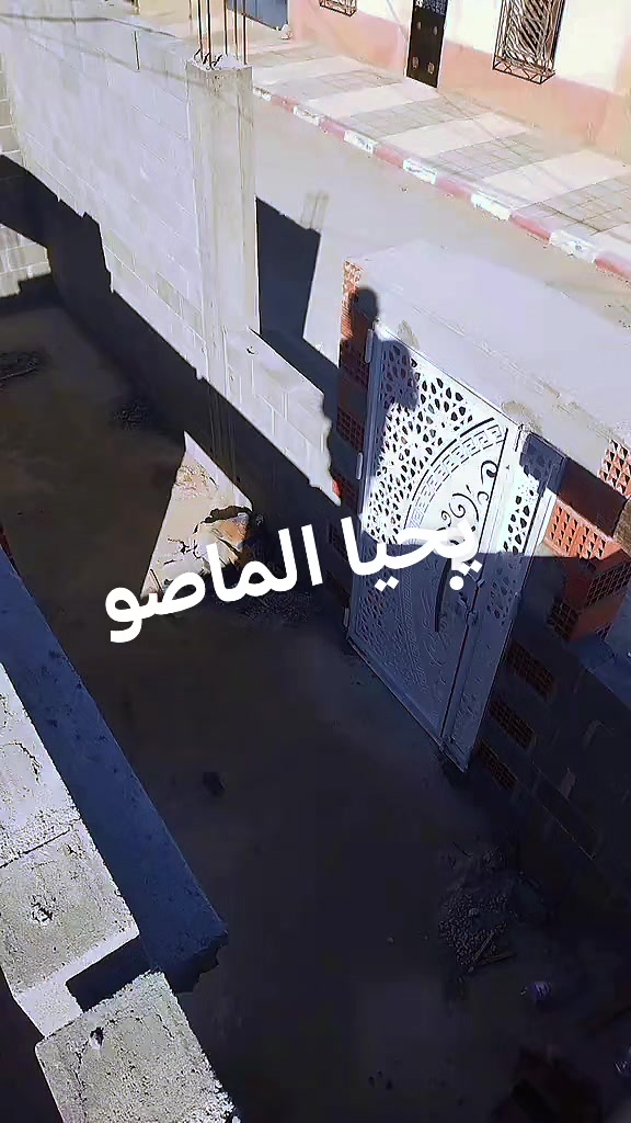 @Hamza Boumdjaria