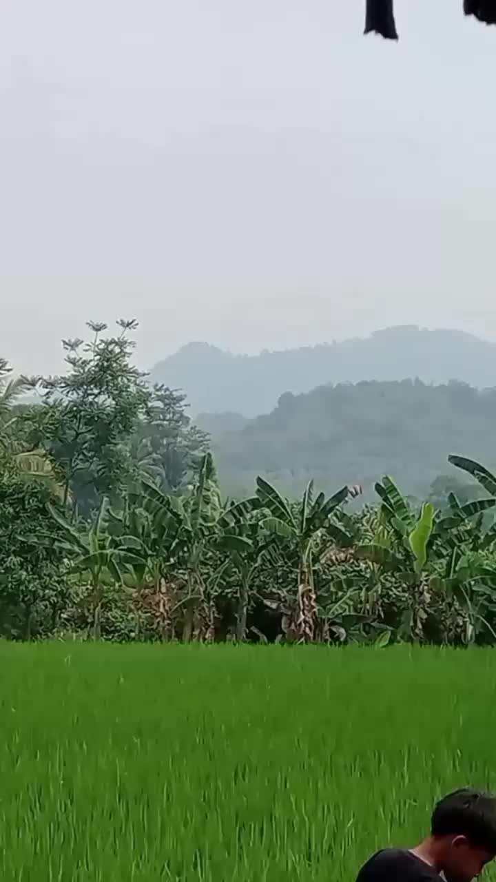 @Tatang Wijaya
