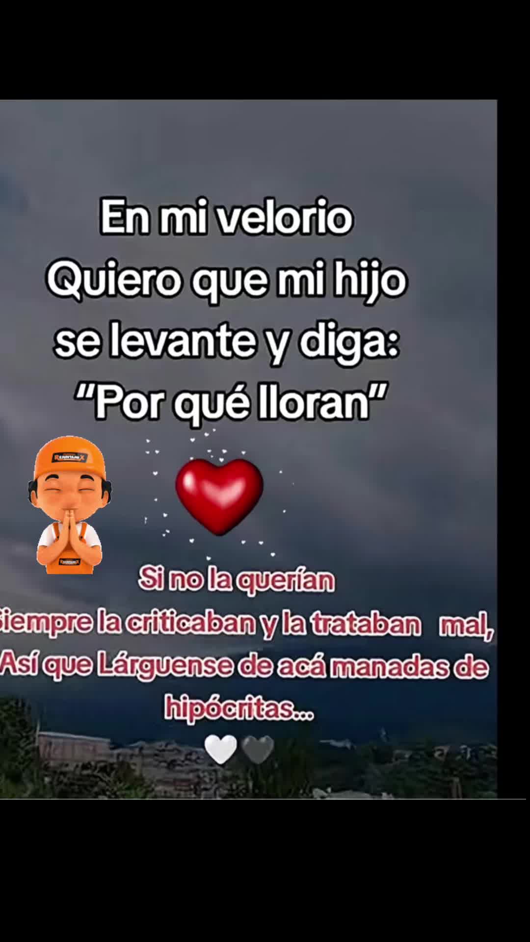 @Luzalcantara 8040