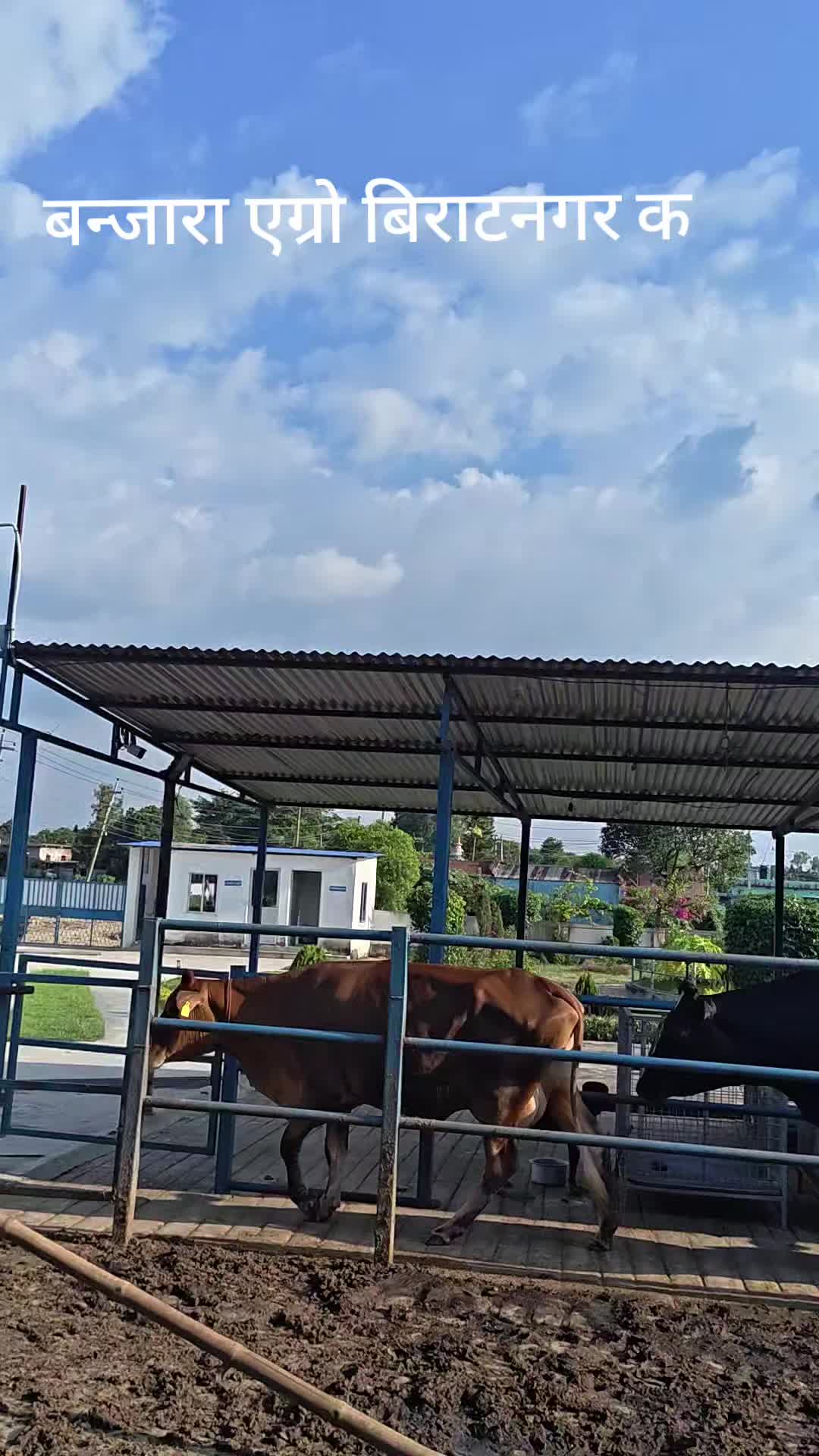 @Banjara Agro