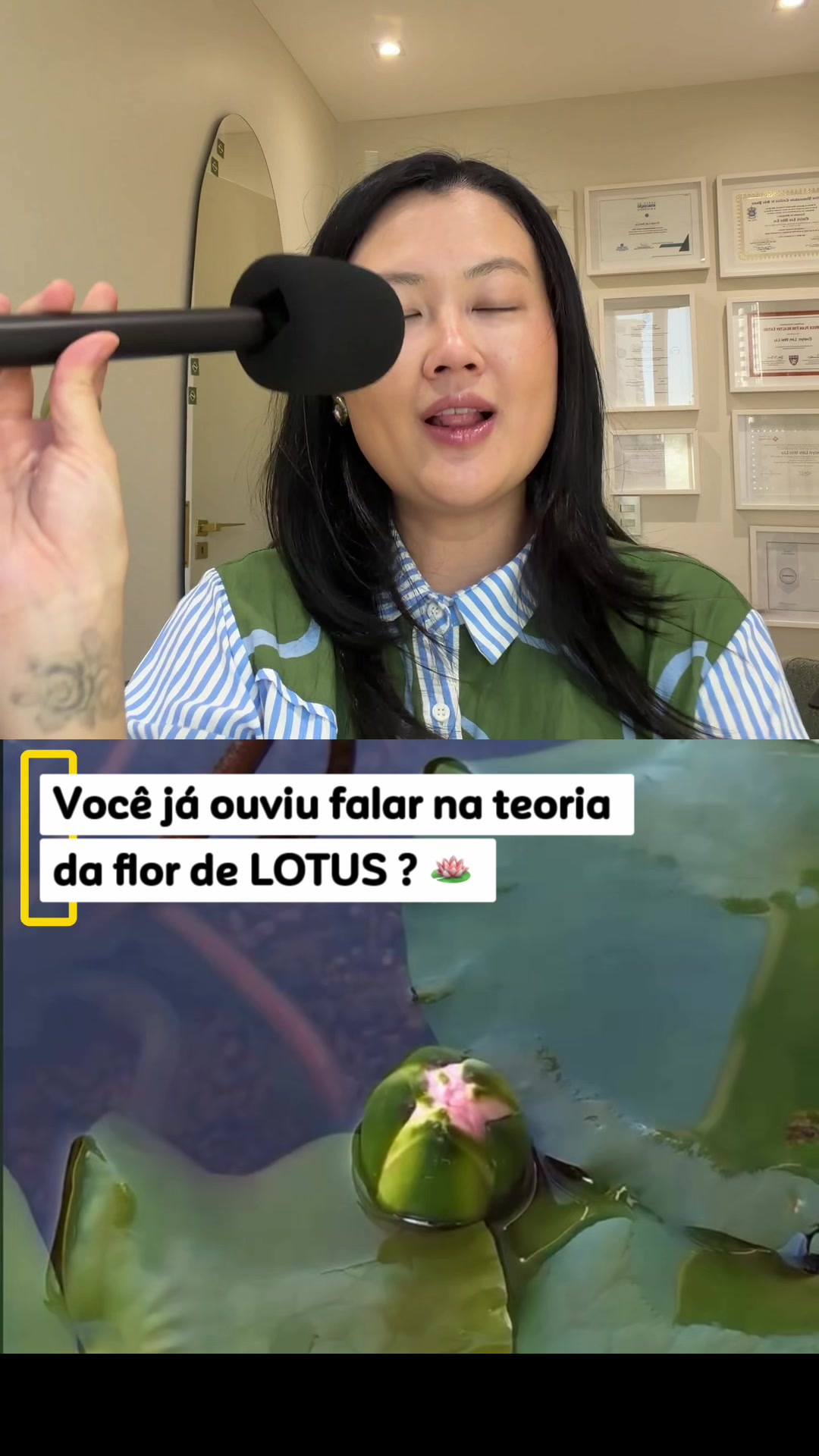 @Evelyn Liu