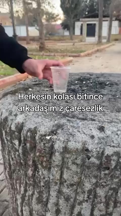@🎭