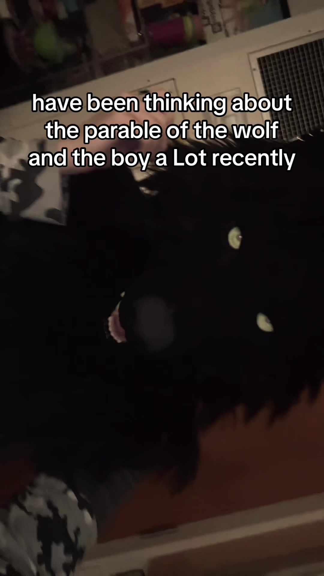 @furtanyl🐺