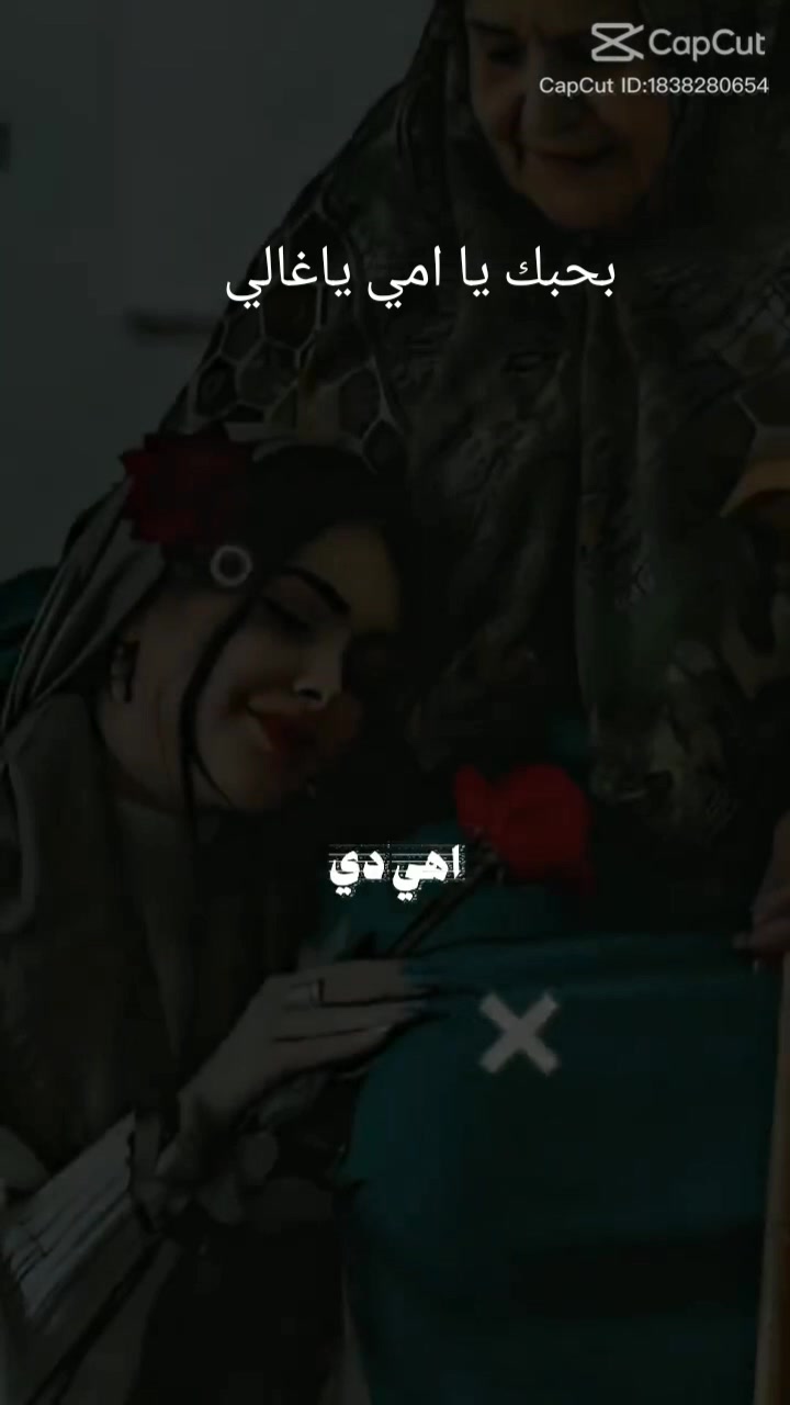 @سيف حمو
