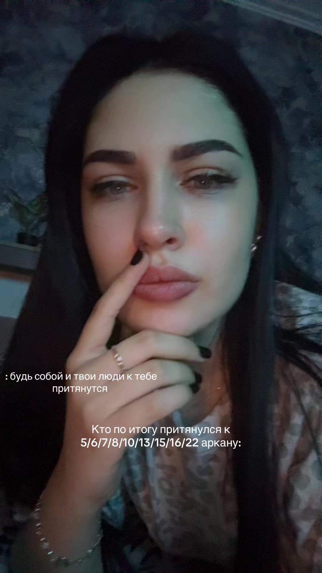 @DIKOVINA