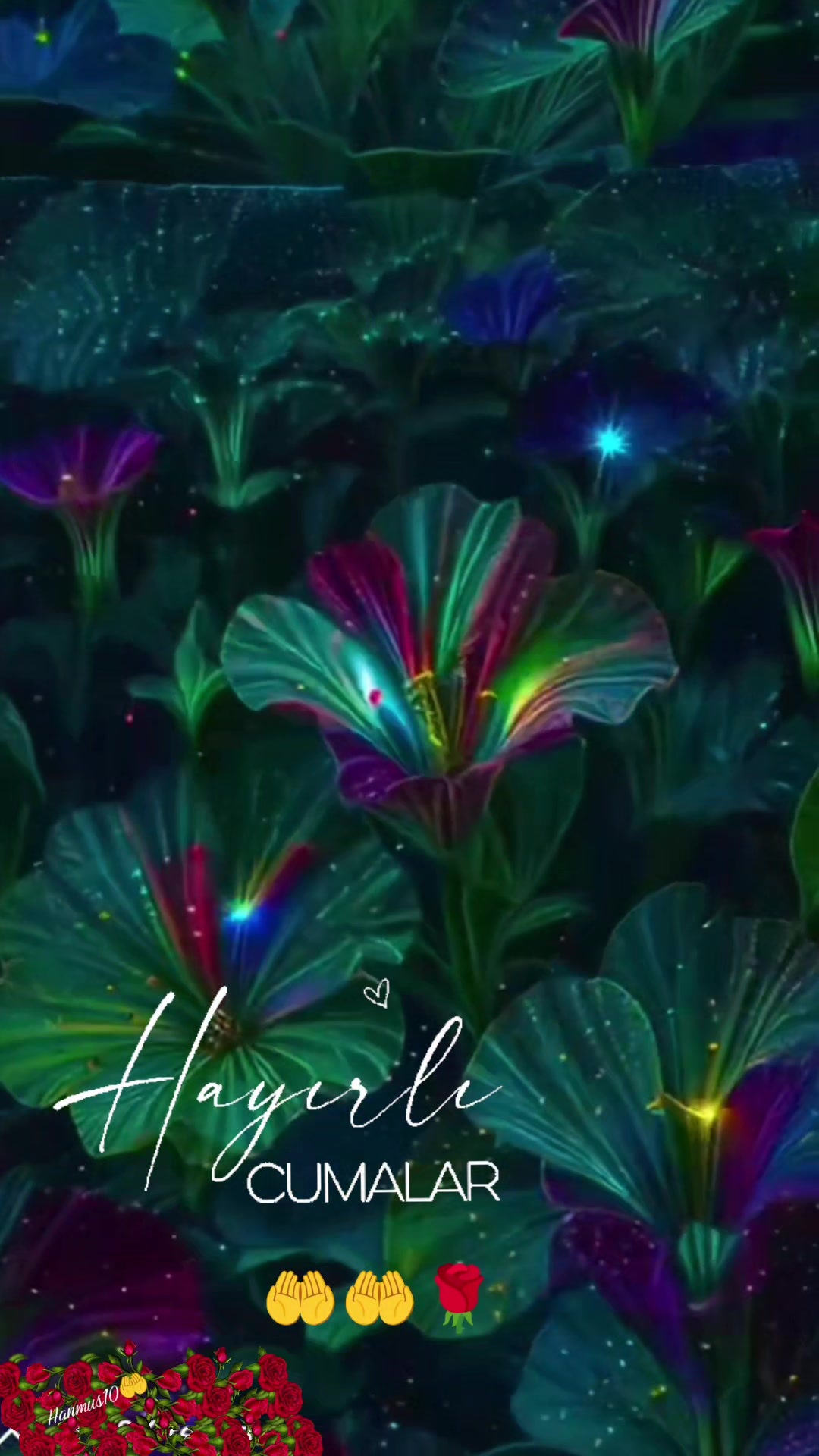 @๐ฆ Hanife ๐