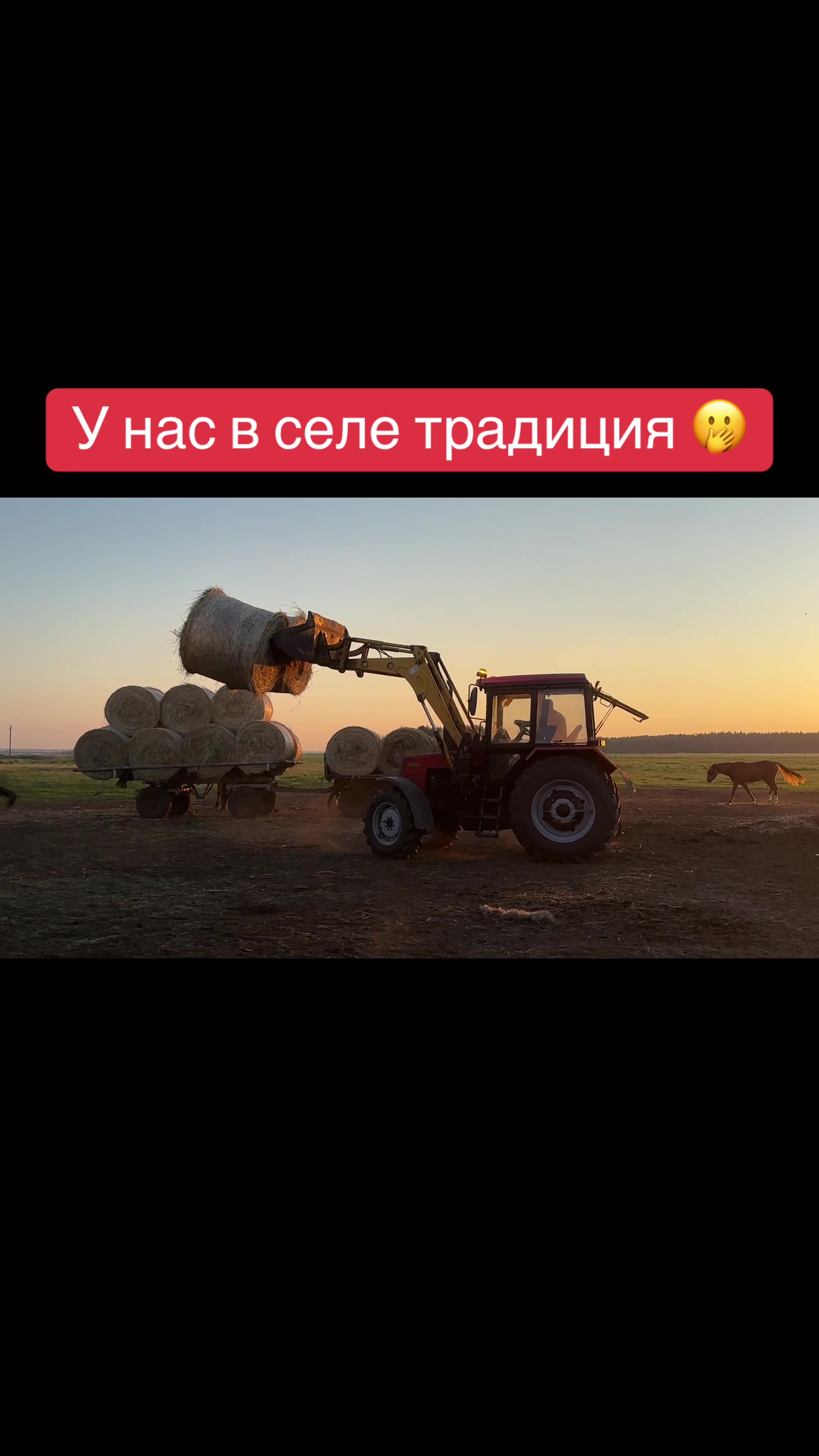 @Анастасия Чернявская.