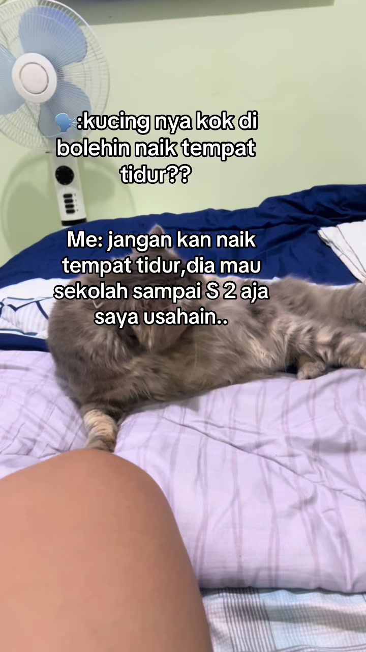 @devihannan