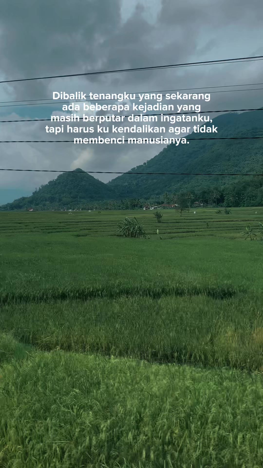 @Pupuziah