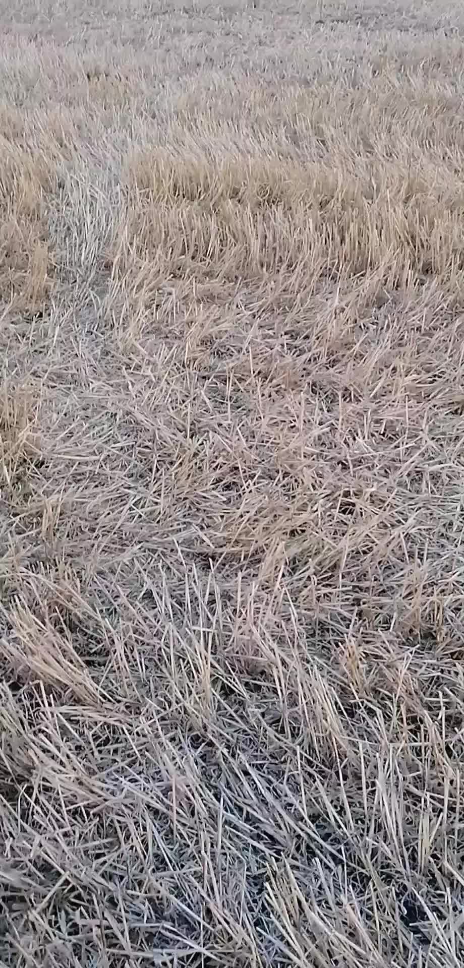 @Юлия Кит